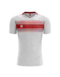 01-Broken-Stripes-Jersey_0003_16971-team_jersey copy